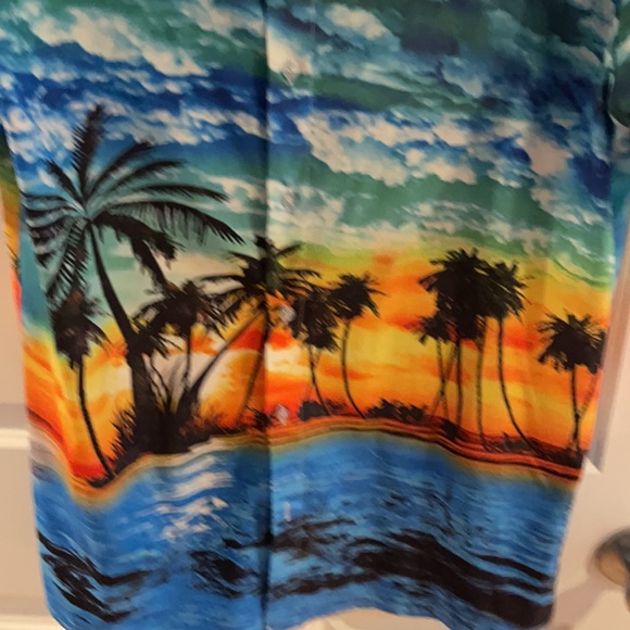 Men’s Hawaiian button down collared shirt size large sunset motif - Picture 6 of 10